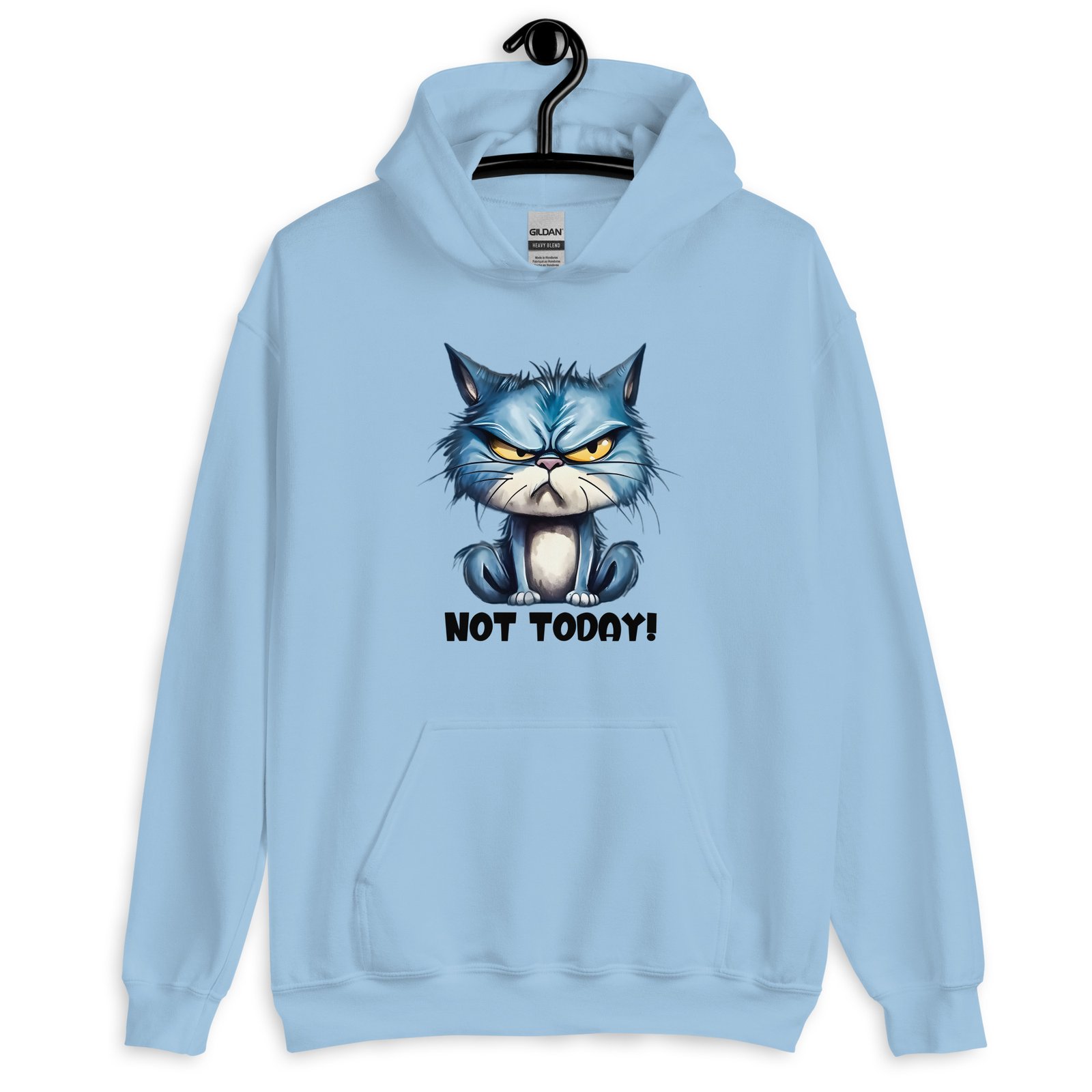 unisex-heavy-blend-hoodie-light-blue-front-6557de98829f8.jpg